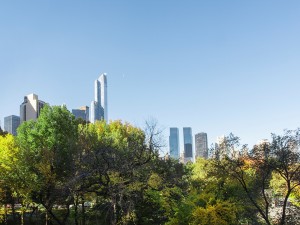 realty 6 Sotheby's New York City real estate -Rare Fifth Avenue Rental - Park Views