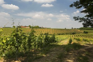 Strada provinciale, Francavilla Bisio, Alessandria