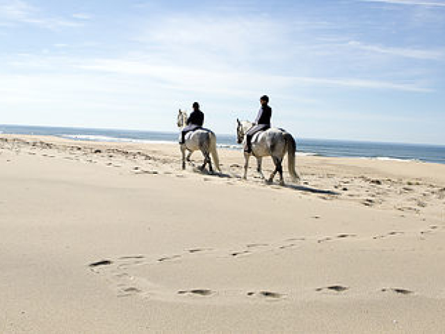 400' of Private Beach