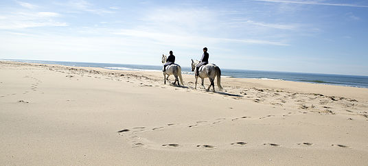 400' of Private Beach