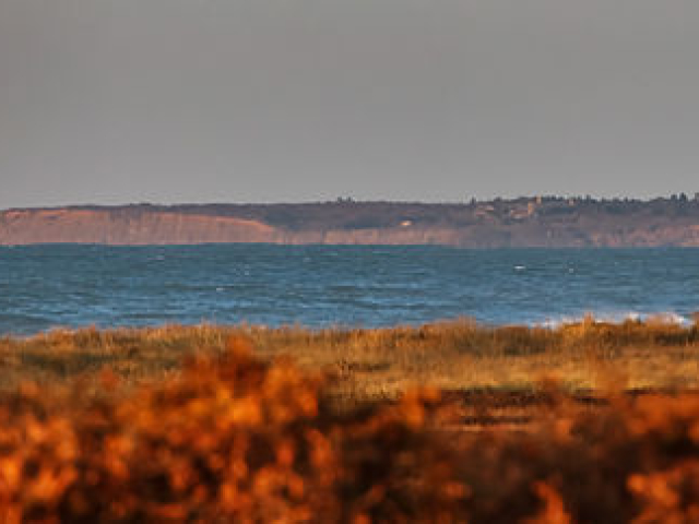 View to Squibnocket Ridge