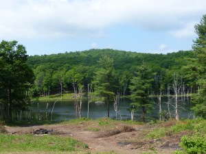 Green Hill Road